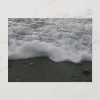 Ocean Meringue! Vykort