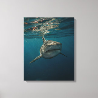Ocean Predator Stretched Kanvastryck