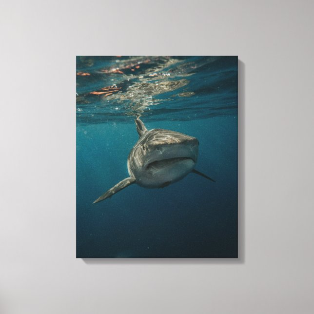 Ocean Predator Stretched Kanvastryck (Framsida)