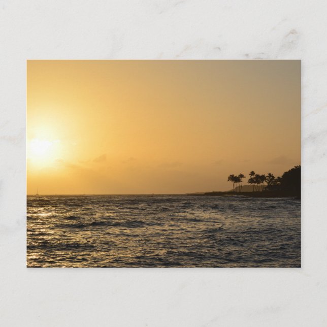 Ocean Sunset i Kauai Vykort (Framsida)