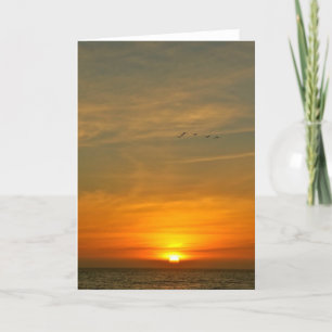 OCEAN SUNSET MED MIGRERANDE FÅGLAR KORT