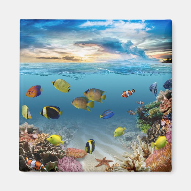 Ocean Underwater Coral Reef Tropical Fish Magnet (Framsidan)