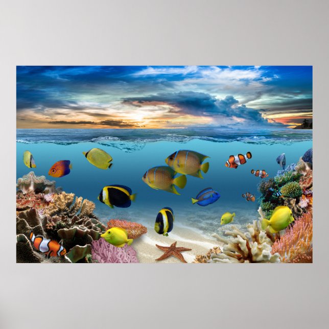 Ocean Underwater Coral Reef Tropical Fish Poster (Framsidan)