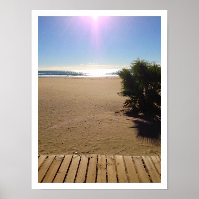 Ocean View, Beach, Handflatan Träd, Boardpromenad Poster (Framsidan)