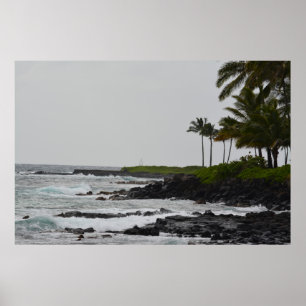 Ocean View i Poipu Poster