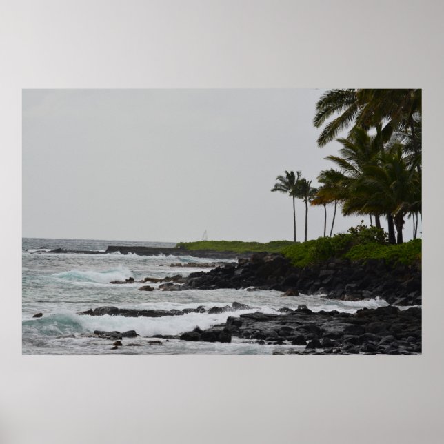 Ocean View i Poipu Poster (Framsidan)