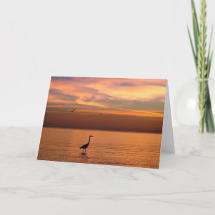 Ocean View vid Sunset Kort
