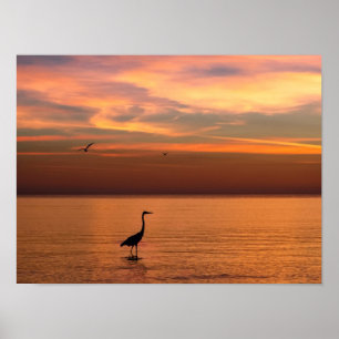 Ocean View vid Sunset Poster