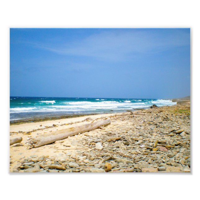 Ocean vinkarare strand med drivved, Västindidekode Fototryck (Framsidan)