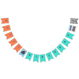 Ocean Waves Dolphin Celebration Vimplar