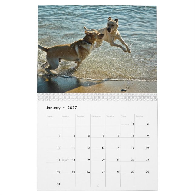 Oceandoggy kalender 2010 (Jan 2027)