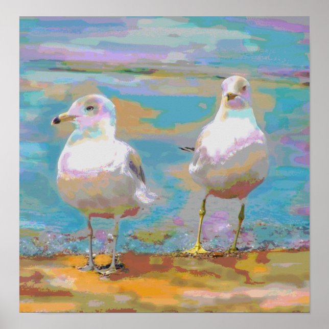 Oceanen Fiskmås Poster (Framsidan)
