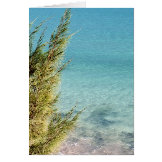 Oceanen Hälsningskort (Framsidan)