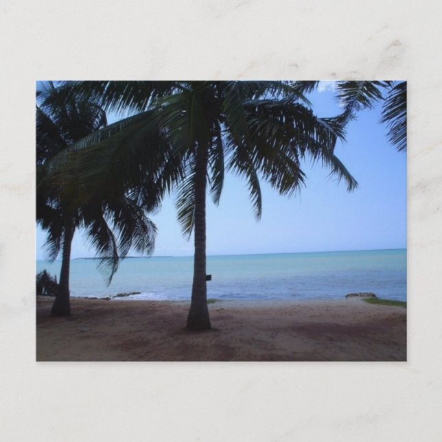 Oceanen på morgonen vykort (Framsida)