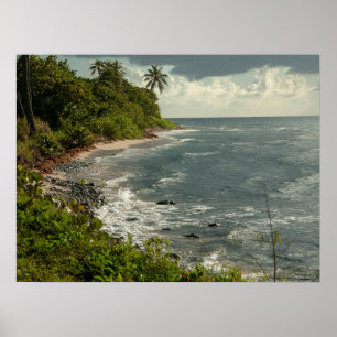 Oceanen Vinkara havskaribiska USVI-stranden Poster