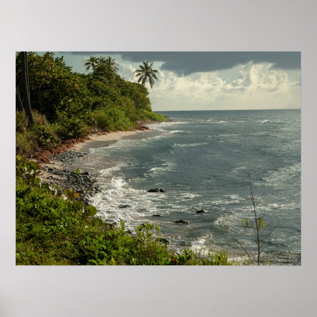 Oceanen Vinkara havskaribiska USVI-stranden Poster (Framsidan)