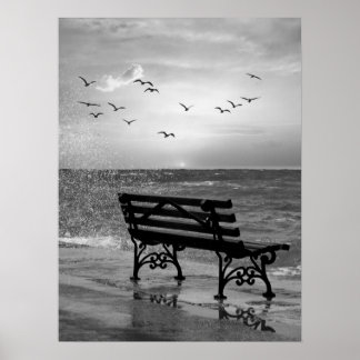 Oceanfront Bench med Fiskmås vid Sunset Poster