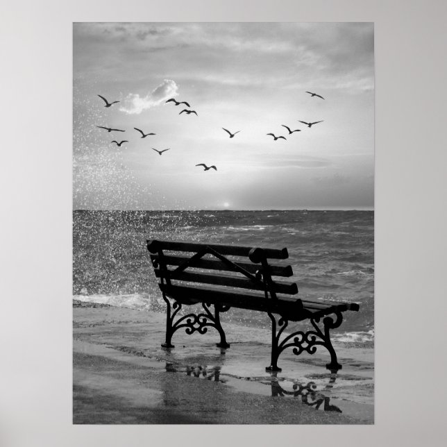 Oceanfront Bench med Fiskmås vid Sunset Poster (Framsidan)