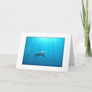 Oceanic kort för Whitetip hajhälsning
