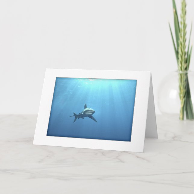 Oceanic kort för Whitetip hajhälsning (Framsida)
