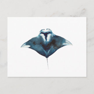 Oceanic Manta Ray Postcard Vykort