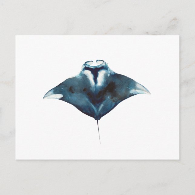 Oceanic Manta Ray Postcard Vykort (Framsida)