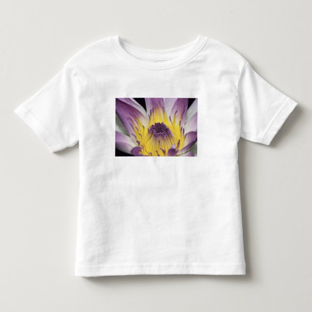Oceanien, Fiji, Lila Panama Pacifica Nymphea Tee (Framsida)