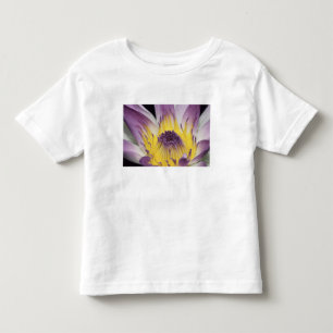 Oceanien, Fiji, Lila Panama Pacifica Nymphea Tee Shirt