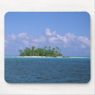 Oceanien, Franska Polynesien, Tahiti. Liten Musmatta