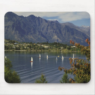 Oceanien, Nya Zeeland, Sydön, Queenstown. Musmatta
