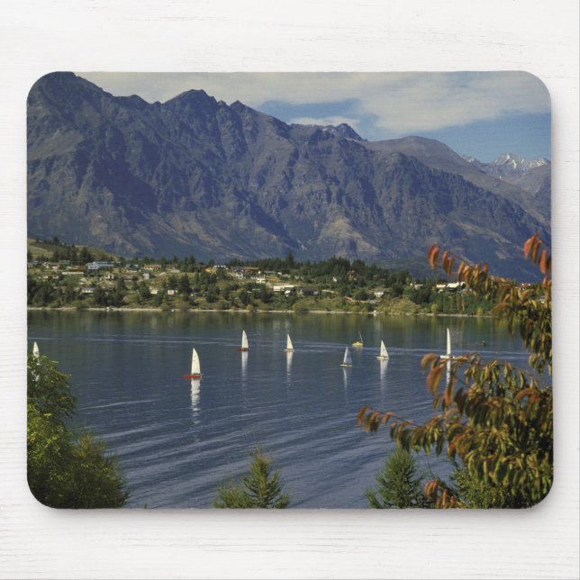 Oceanien, Nya Zeeland, Sydön, Queenstown. Musmatta (Framsidan)