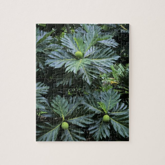 Oceanien, södra Stilla havet, Fransk Polynesien Pussel (Vertikal)