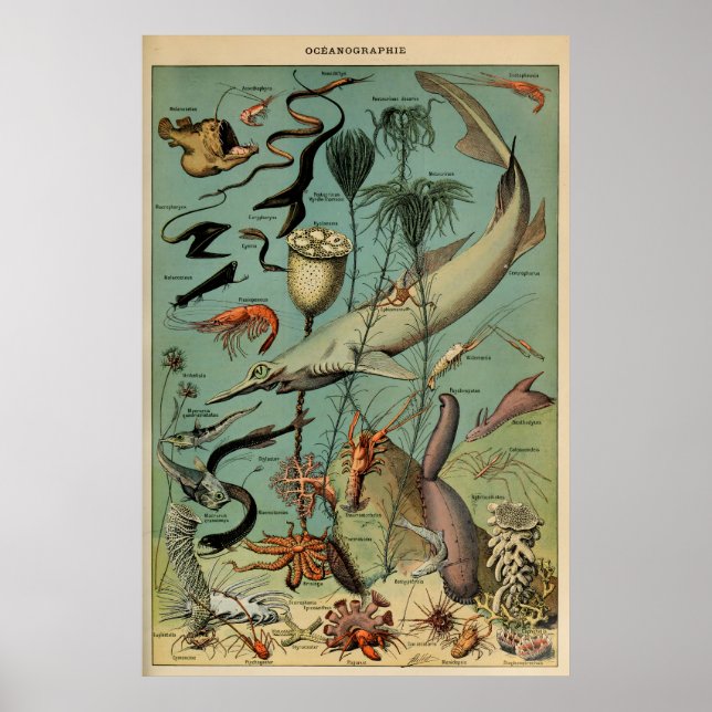 Oceanografia Adolphe Millot Le Larousse Pour Tous Poster (Framsidan)