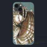 Ocean's Jewel<br><div class="desc">En av de finaste havsjuvelerna finns i bilden. Hitta det här stora årstidsskalet Conch i den här biet i modern konst. Den här stora säsongsbilden av Conch har en teal bakgrund och sepia och vit snäcka. Lär dig med detta underbara biet i naturverk.</div>