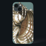 Ocean's Jewel<br><div class="desc">En av de finaste havsjuvelerna finns i bilden. Hitta det här stora årstidsskalet Conch i den här biet i modern konst. Den här stora säsongsbilden av Conch har en teal bakgrund och sepia och vit snäcka. Lär dig med detta underbara biet i naturverk.</div>
