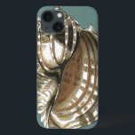 Ocean's Jewel<br><div class="desc">En av de finaste havsjuvelerna finns i bilden. Hitta det här stora årstidsskalet Conch i den här biet i modern konst. Den här stora säsongsbilden av Conch har en teal bakgrund och sepia och vit snäcka. Lär dig med detta underbara biet i naturverk.</div>