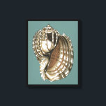 Ocean's Jewel Canvastryck<br><div class="desc">En av de finaste havsjuvelerna finns i bilden. Hitta det här stora årstidsskalet Conch i den här biet i modern konst. Den här stora säsongsbilden av Conch har en teal bakgrund och sepia och vit snäcka. Lär dig med detta underbara biet i naturverk.</div>