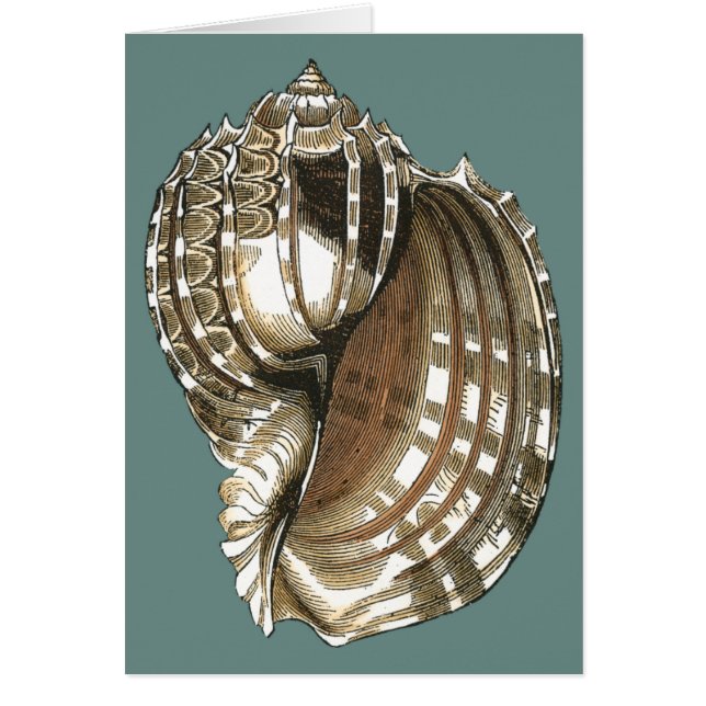 Ocean's Jewel Hälsningskort (Framsidan)