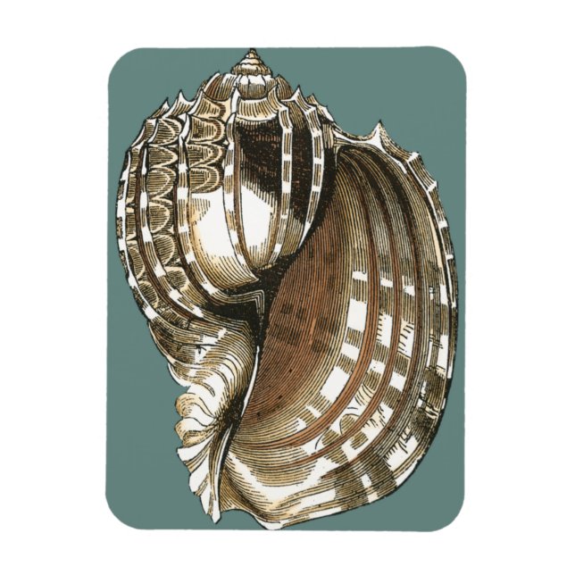 Ocean's Jewel Magnet (Vertikal)