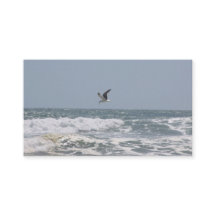 Oceanska Affärskort