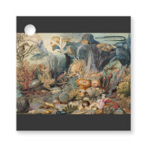 Oceanvärlden, under havet, Nautisk