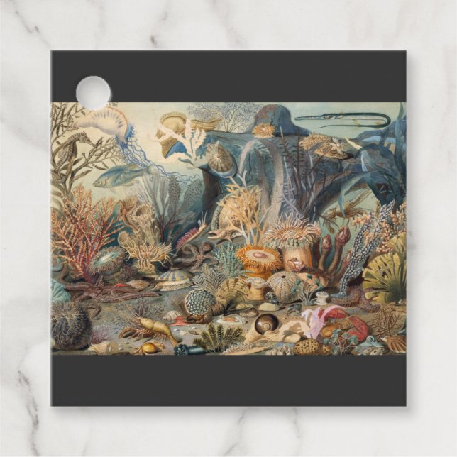 Oceanvärlden, under havet, Nautisk Gåvor Etiketter (Framsida)