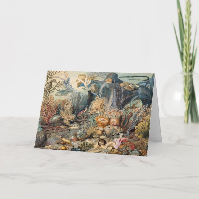 Oceanvärlden, under havet, Nautisk Tack Kort (Framsida)