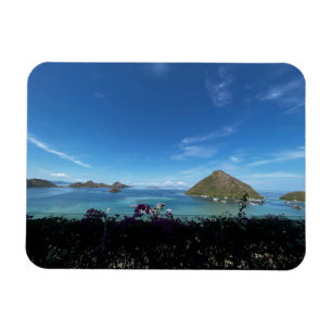 Oceanvy Magnet