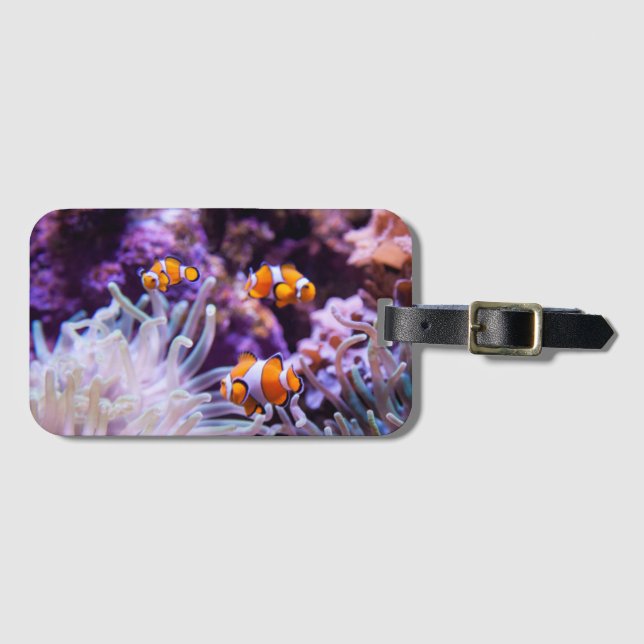 Ocellaris Clownfish | Amphiprion Ocellaris Bagagebricka (Framsida horisontal)