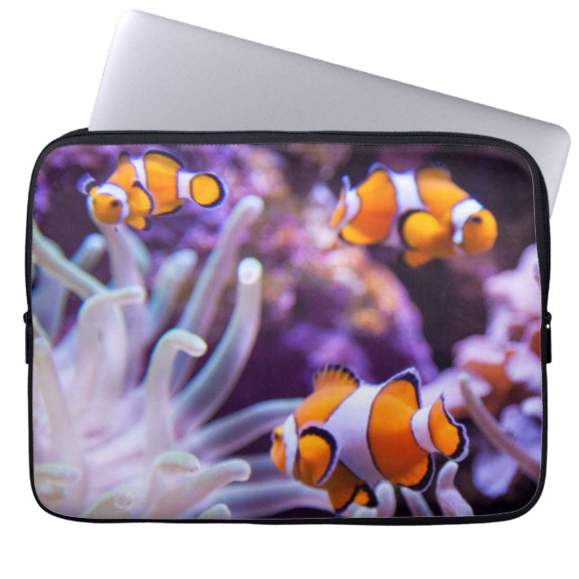 Ocellaris Clownfish | Amphiprion Ocellaris Laptop Sleeve (Framsidan)