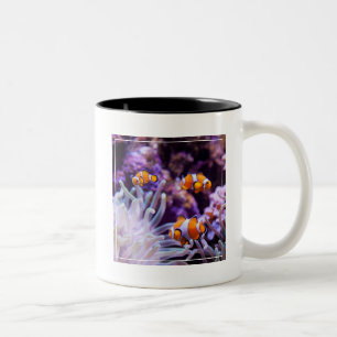 Ocellaris Clownfish Amphiprion Ocellaris Två-Tonad Mugg