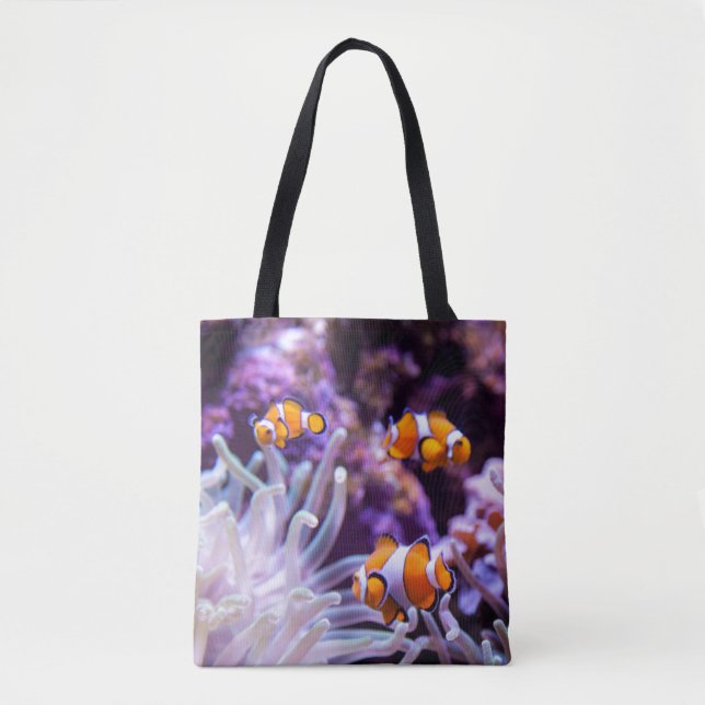 Ocellaris Clownfish | Amphiprion Ocellaris Tygkasse (Framsida)