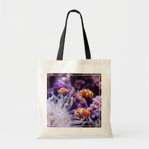 Ocellaris Clownfish Amphiprion Ocellaris Tygkasse