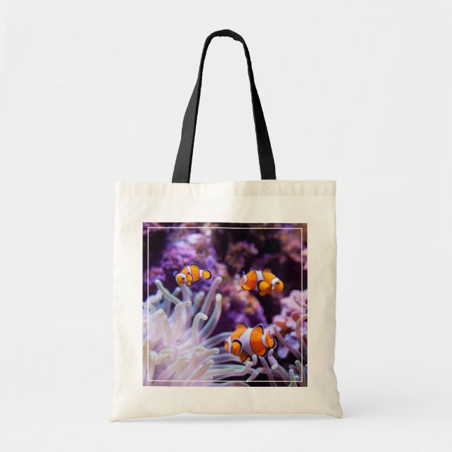 Ocellaris Clownfish | Amphiprion Ocellaris Tygkasse (Framsidan)